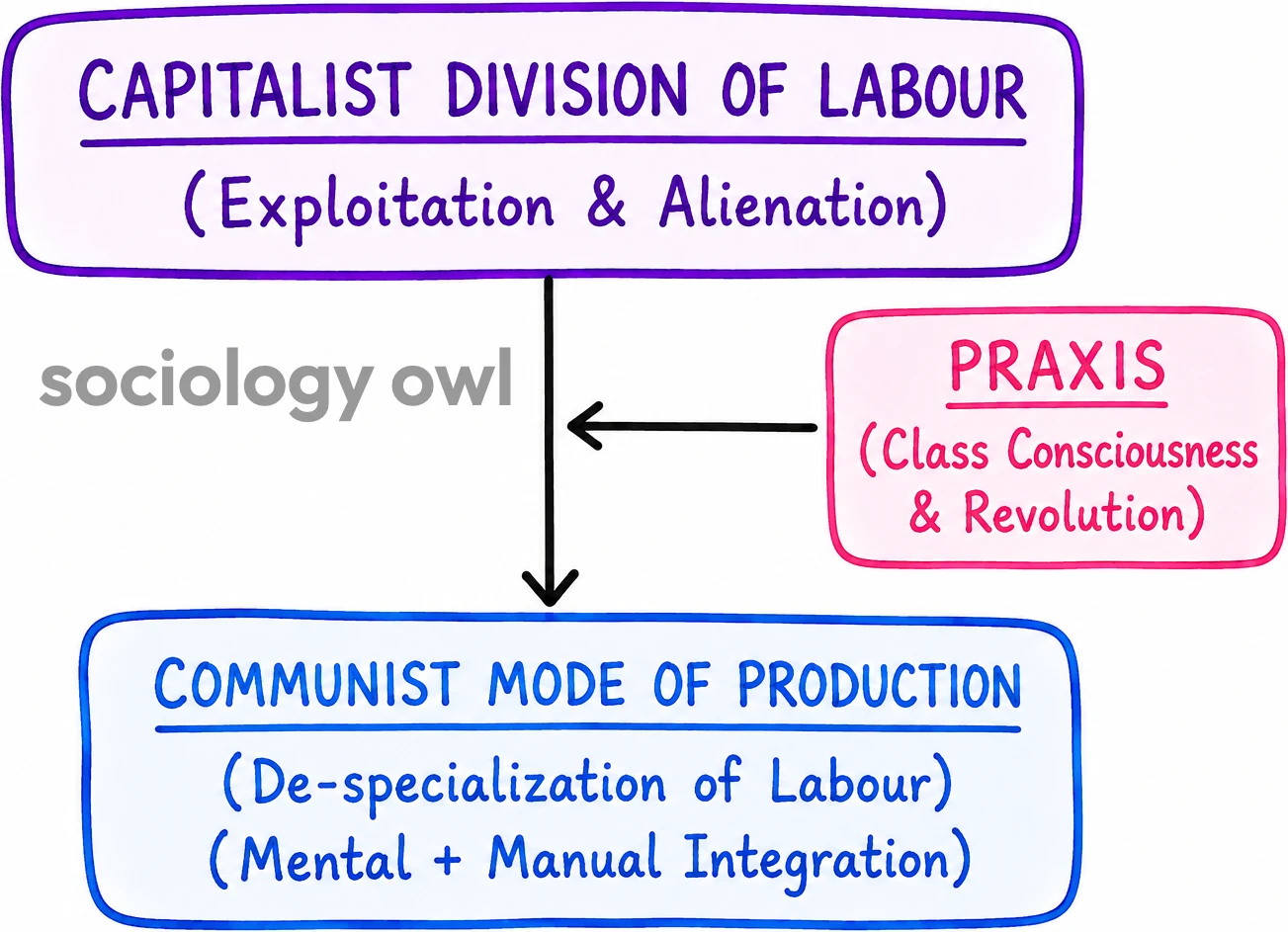 Division of Labour by Karl Marx 15
