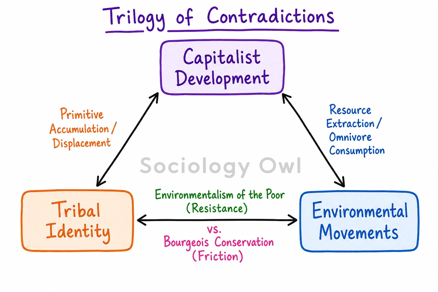 Q. Analyse the trilogy between environmental movement, development and tribal identity. 1