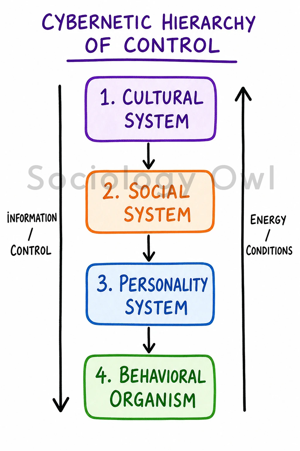 Parsons' Social System