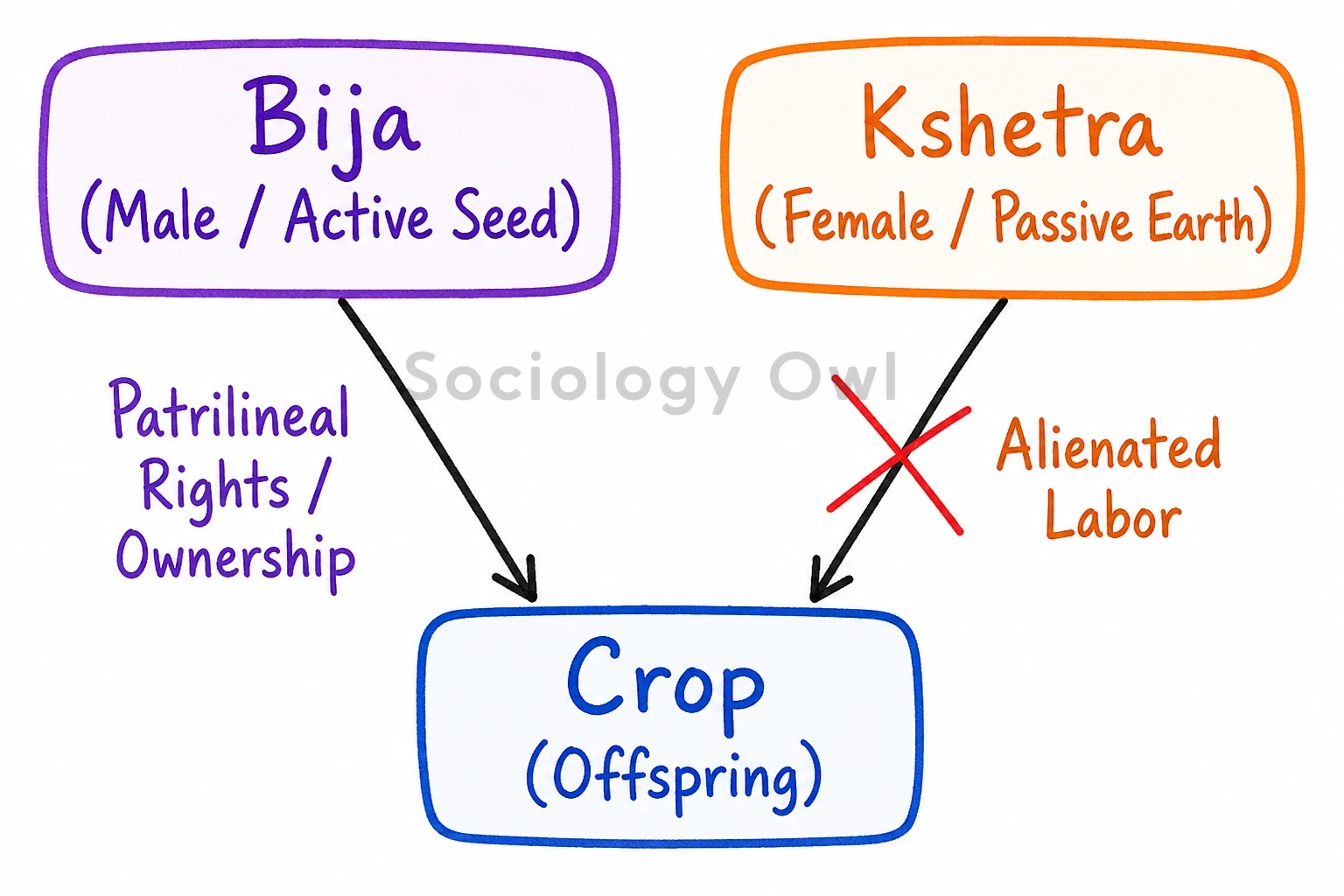 Explain Leela Dube’s concept of “Seed and Earth”. 1