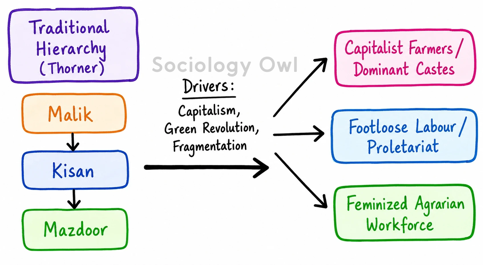 Do you agree that the agrarian class structure in India is changing ?Justify your answer with illustrations. 5