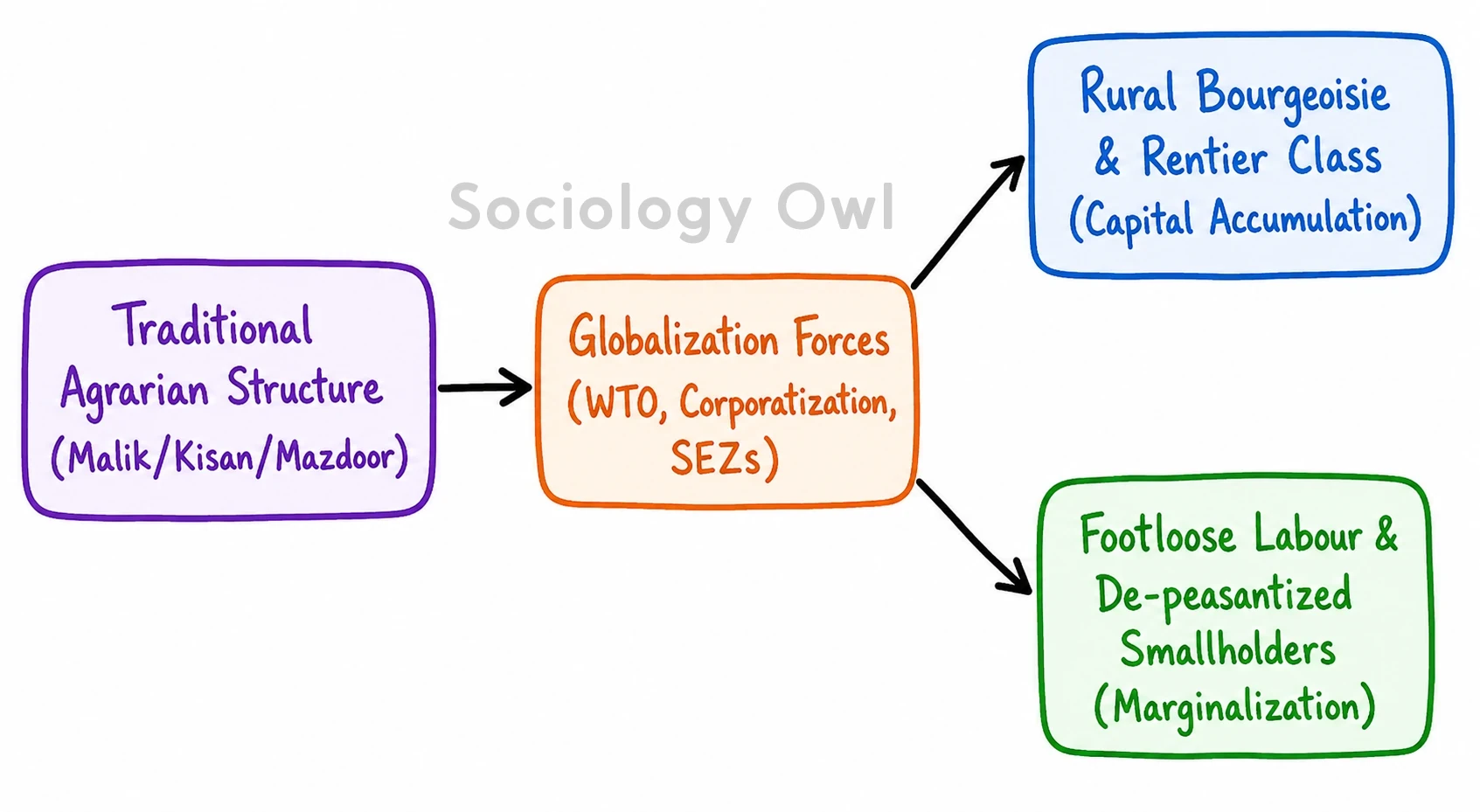 Explain the implications and the impact of globalization in situating the changing agrarian class structure in India. 2