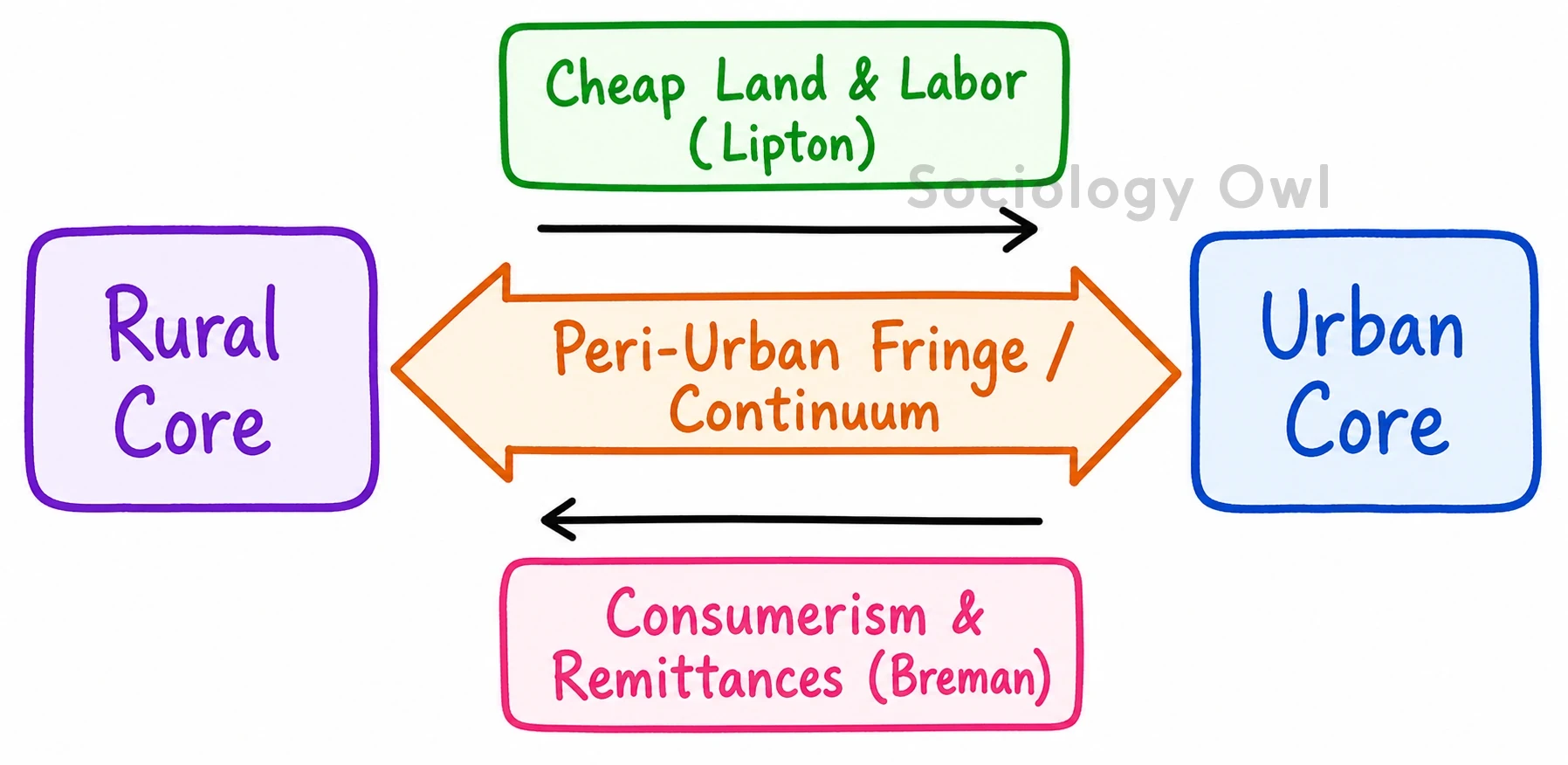 Discuss the phenomenon of rural-urban continuum with suitable examples. 1