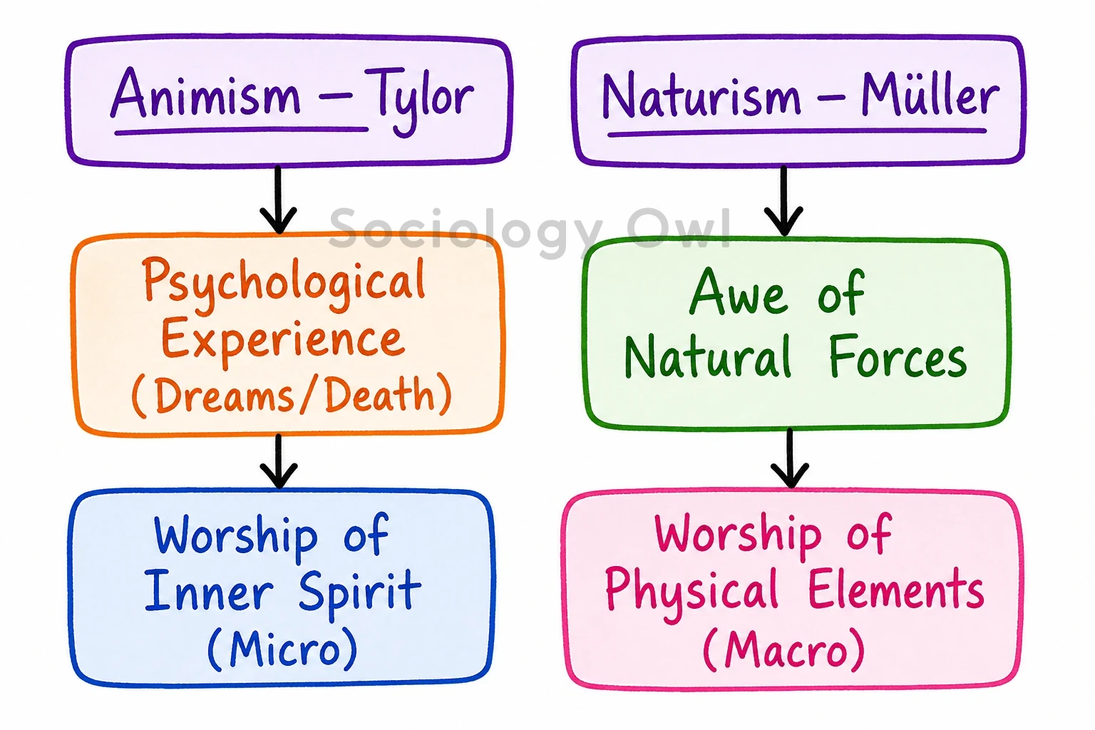 Q. Discuss the concept of animism and differentiate it from naturism. 1