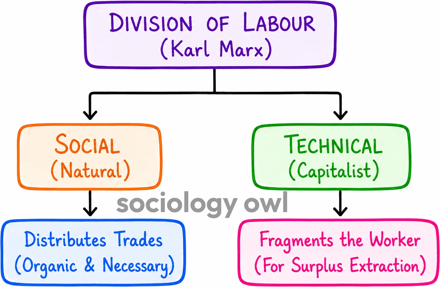 Division of Labour by Karl Marx 13