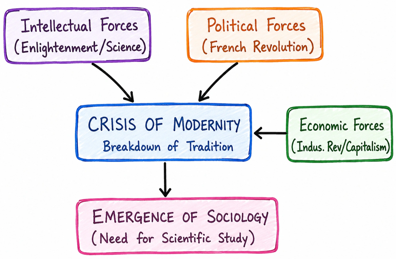 emergence_of_sociology_factors