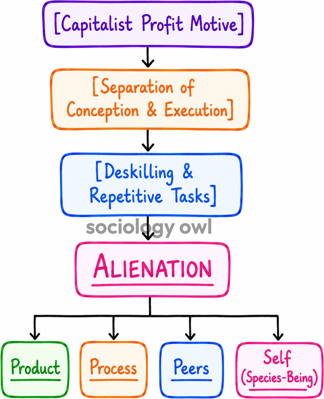 Division of Labour by Karl Marx 14