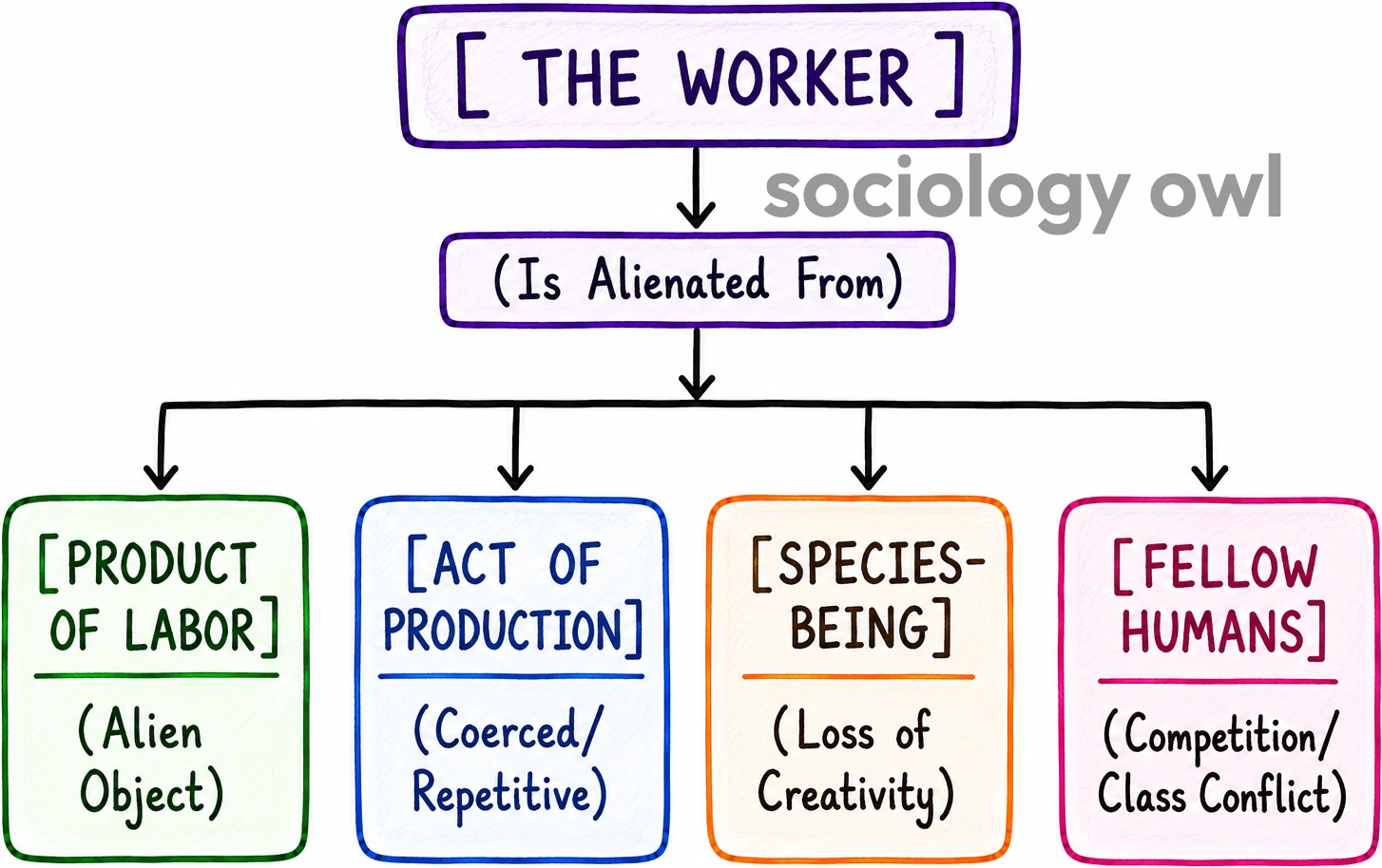 Marx Theory of Alienation : Notes for UPSC Sociology 13