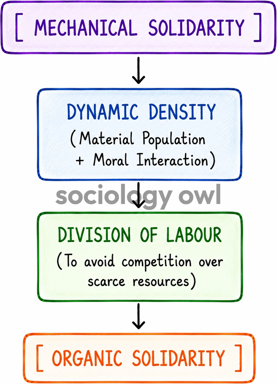Mechanical Solidarity and Organic Solidarity : Forms of Social Solidarity 5