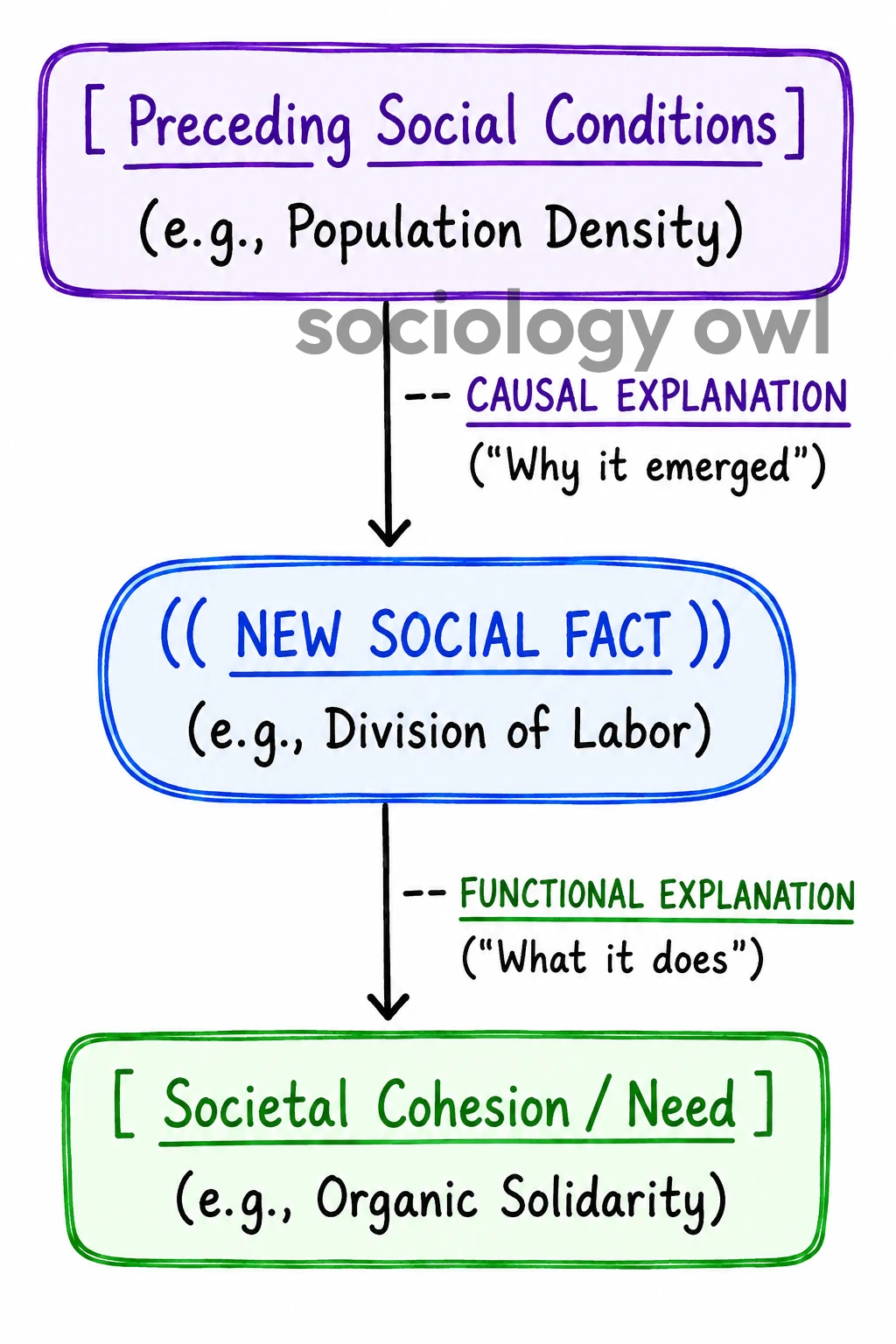 Durkheim: Sociology as the Scientific Study of Social Facts 11