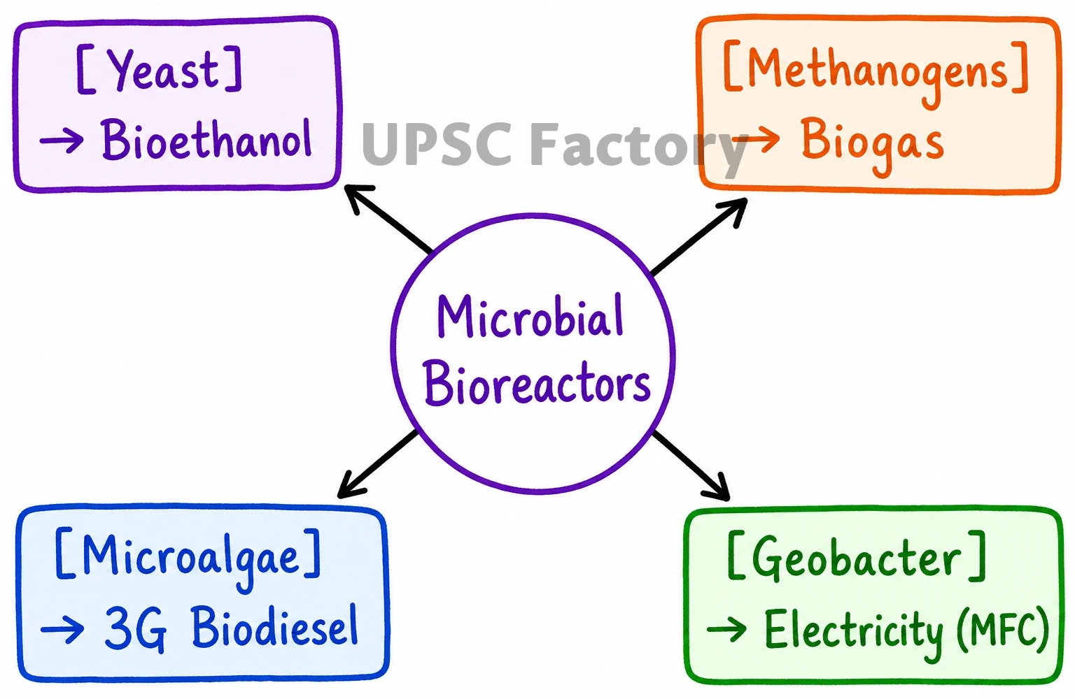 Q. Discuss several ways in which microorganisms can help in meeting the current fuel shortage. 1